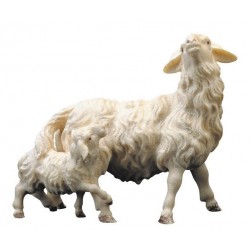 Sheep Lamb   : Wood carved...