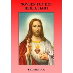 Book  Noveen tot het Heilig...