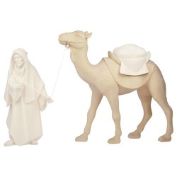 Camel for nativity...