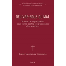 Délivre-nous du mal -...