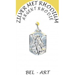 Medaille Zilver + Rhodium -...