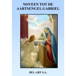 Boek - Noveen tot de...