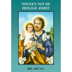 Book  Noveen tot Heilige...