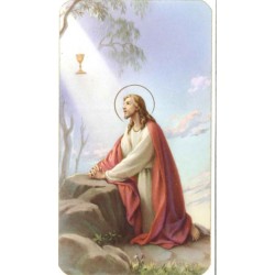 Set of 10 - picture Jesus /...