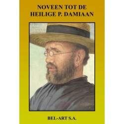 Boek  - Noveen tot de H....