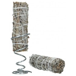 Sauge blanche + support  -...