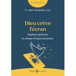 Dieu crève l'écran -...