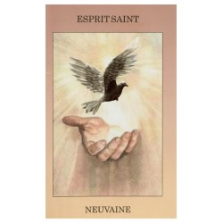 Livret - Neuvaine au St Esprit