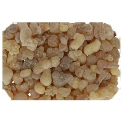 Incense Tears Olibanum 100 gr