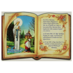 Postcard Banneux Nr 1019