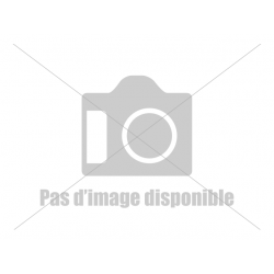 Ostensoir   H 22 Cm   Diam...