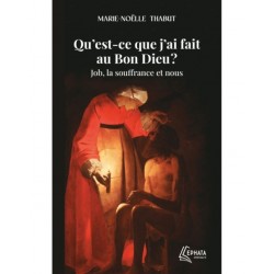 Qu'est-ce que j'ai fait au...