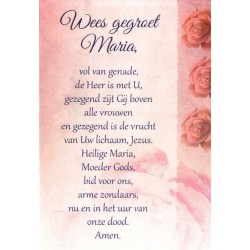 Carte Double + Env - Wees...