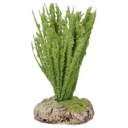 Provencaalse decor   Rieten